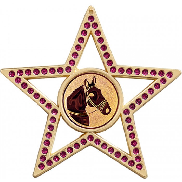 75MM STAR MEDAL - HORSERIDING - PURPLE - GOLD, SILVER & BRONZE
